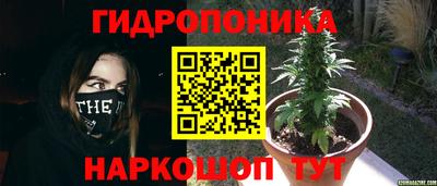 мдпв Краснодар