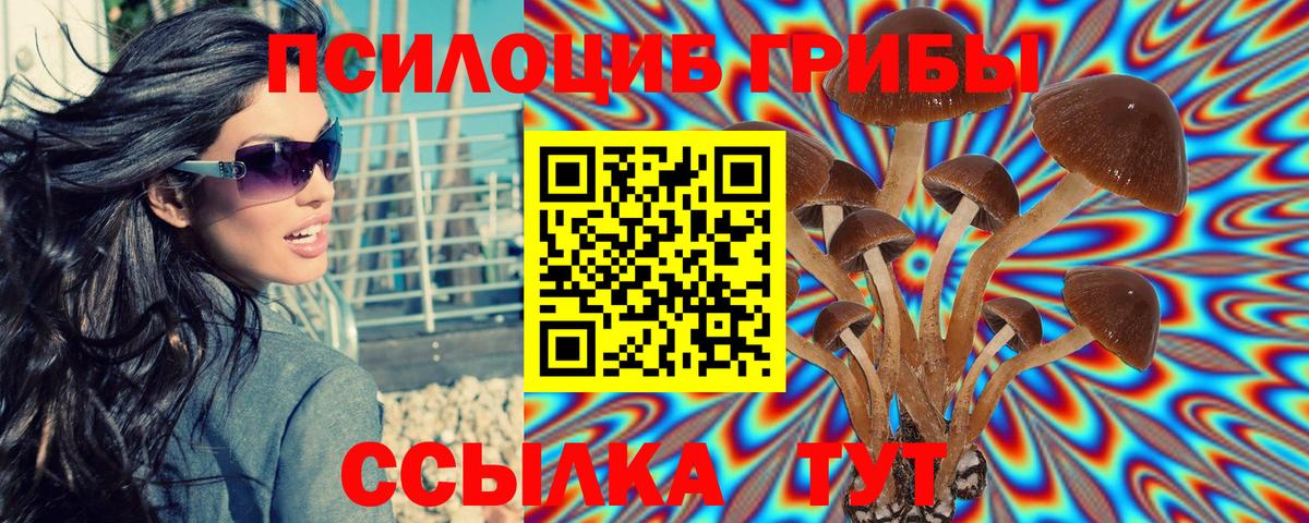 Галлюциногенные грибы Psilocybine cubensis Чапаевск