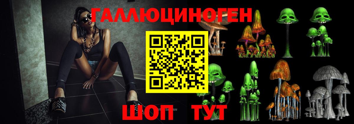 Чапаевск  Псилоцибиновые грибы GOLDEN TEACHER  Вход с VPN 
